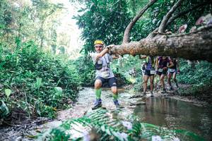 BIB: 
                            <button type="button" onclick="openModal(25441137)" class="btn btn-primary btn-sm float-right btn-popup" data-toggle="modal" data-target=".modal-high-quality">
                        <i class="fas fa-shopping-cart"></i> Add to Cart
                    </button>
                                            <button type="button" onclick="isThisMe(25441137, true)" class="btn btn-success btn-sm float-right btn-popup btn-isme hidden" data-toggle="tooltip" data-placement="bottom" title="นี่คือรูปของคุณใช่ไหม คลิกที่นี่เพื่อเอาเข้าอัลบั้ม">
                        <i class="fas fa-plus"></i> Add to album
                    </button>
                    <button type="button" onclick="isThisMe(25441137, false)" class="btn btn-warning btn-sm float-right btn-popup btn-isnotme hidden">
                        <i class="fas fa-ban"></i> Remove from album
                    </button>